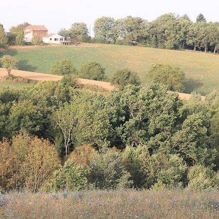Pour Les Amoureux De La Nature. Saint-Cirgue Kültér fotó
